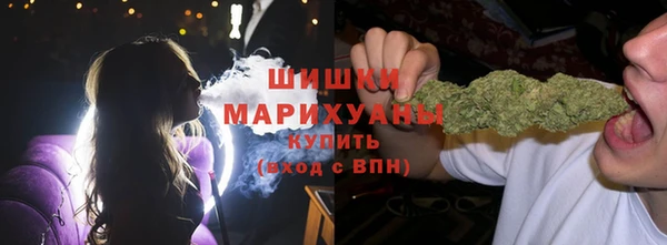 ГАЛЛЮЦИНОГЕННЫЕ ГРИБЫ Алексин