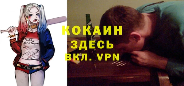 ГАЛЛЮЦИНОГЕННЫЕ ГРИБЫ Алексин