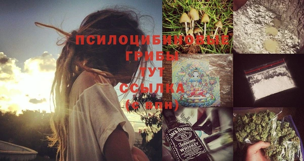 героин Михайлов