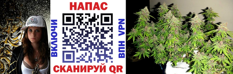 Марихуана SATIVA & INDICA  где купить наркоту  Чистополь 